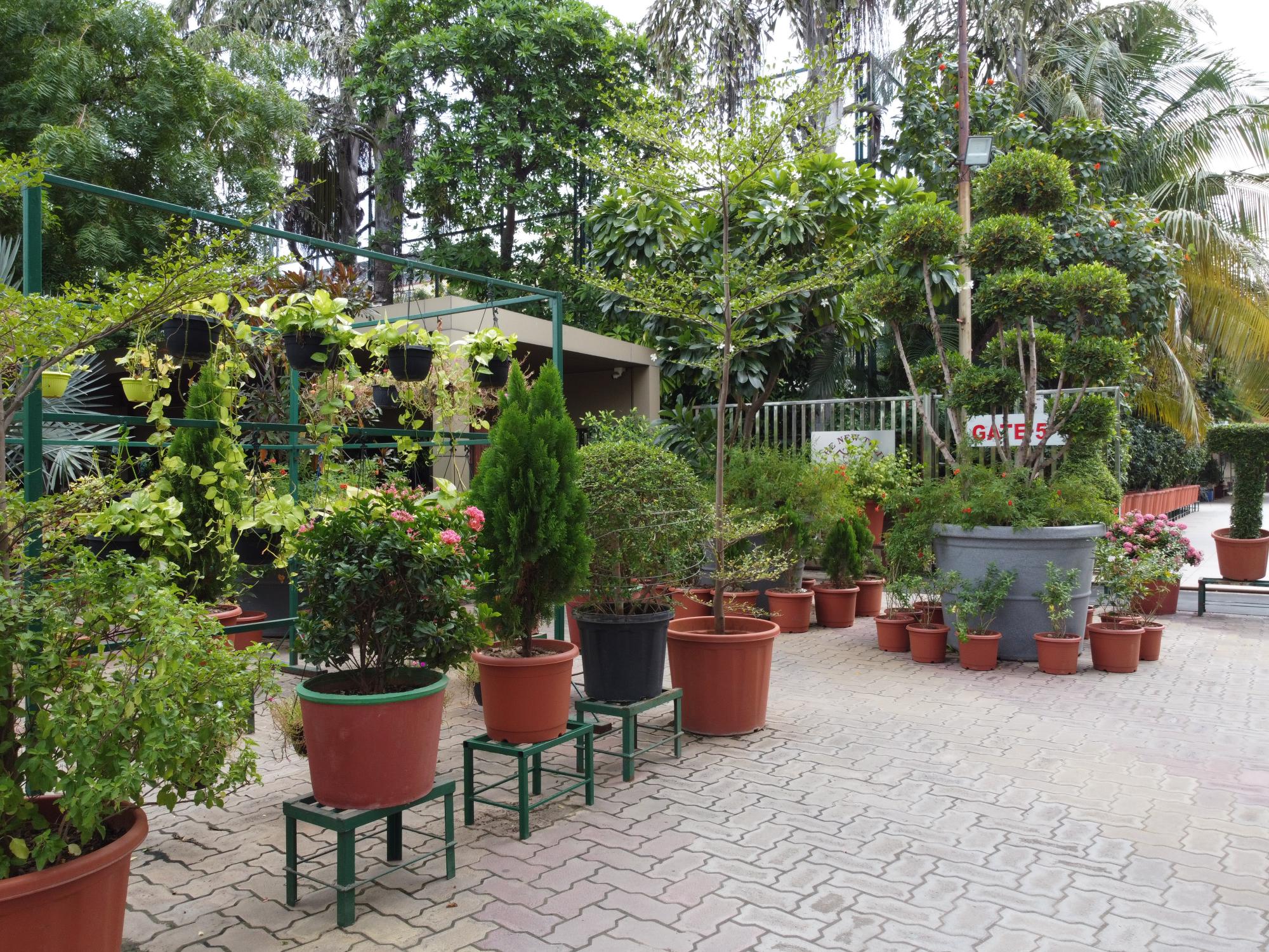 Campus